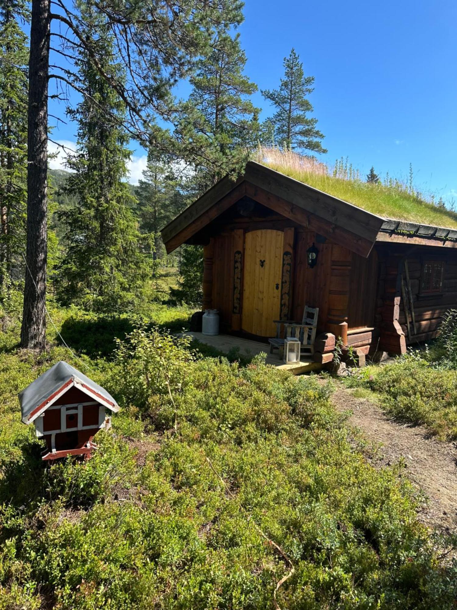 Hytta Pa Oyfjell 빌라 외부 사진