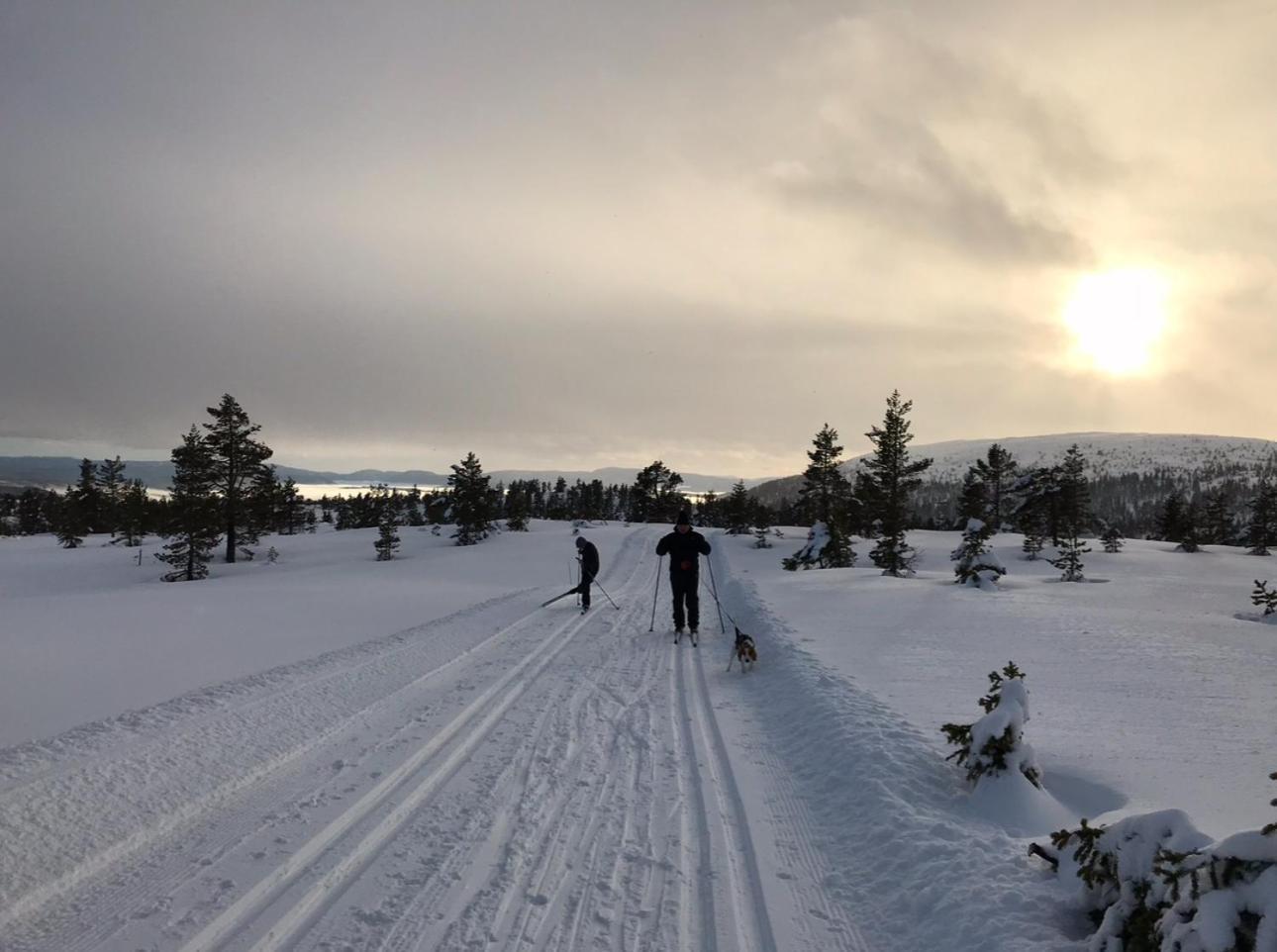 Hytta Pa Oyfjell 빌라 외부 사진