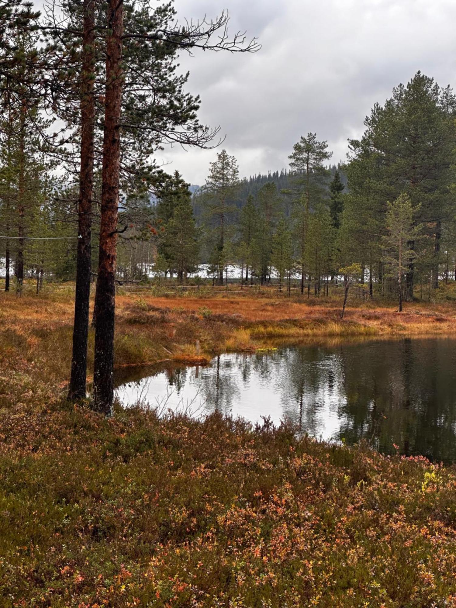 Hytta Pa Oyfjell 빌라 외부 사진